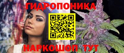 apvp Татарск