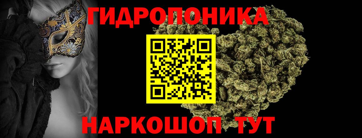 Конопля конопля Минеральные Воды